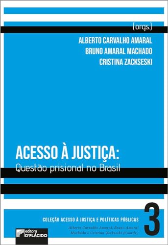 Acesso à justiça: Questão prisional no Brasil