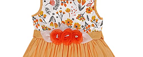 Image of Funshine Girls Party Dress