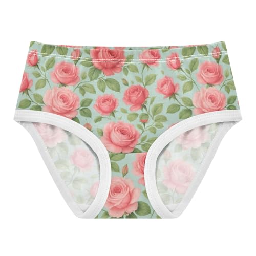 Cotton Toddler Underwear Floral Vintage Floral Pink Red Roses Panties Little Girl Animal Briefs Underpants 2t