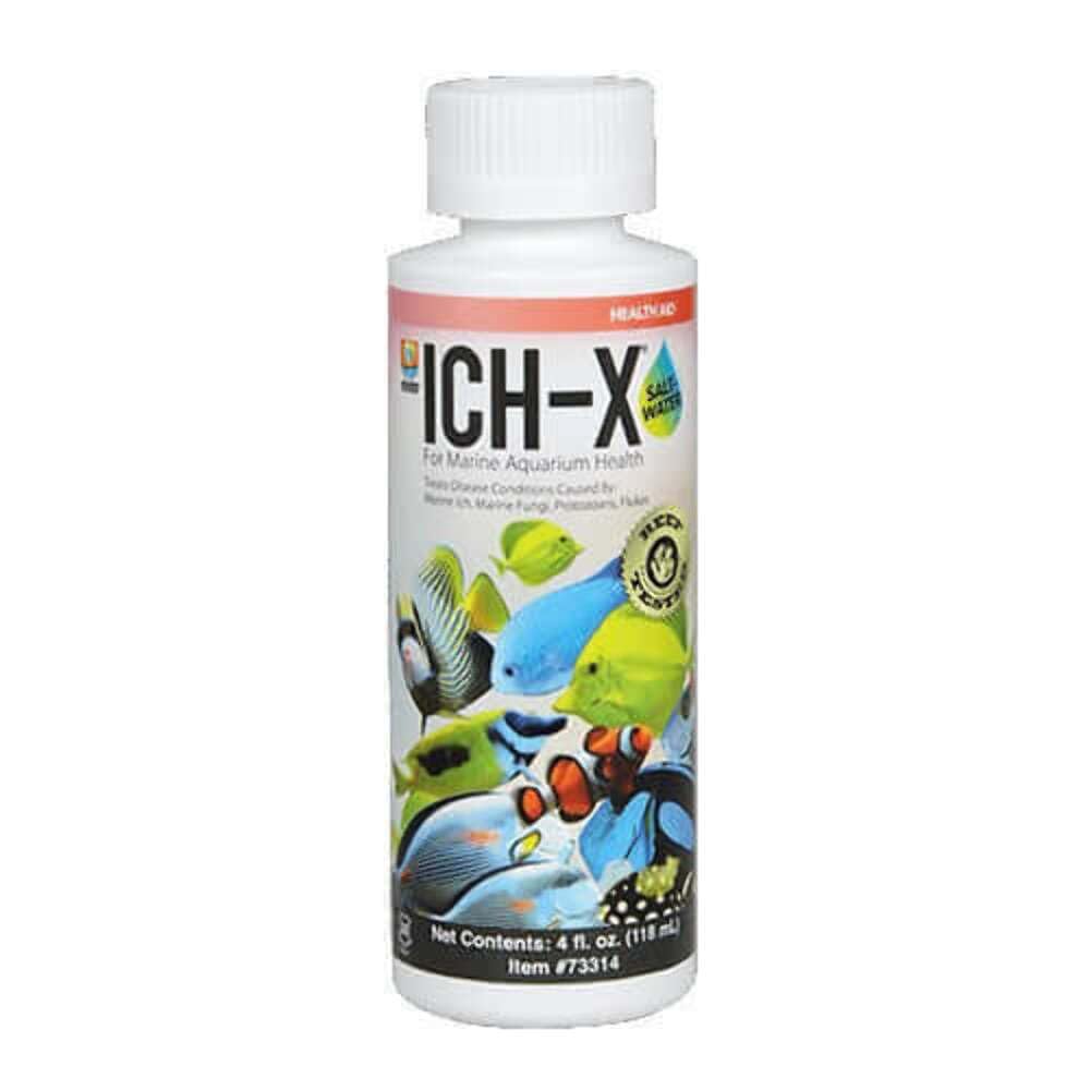 Amazon.com : Hikari Usa AHK73316 Salt water Ich-X for Aquarium, 16