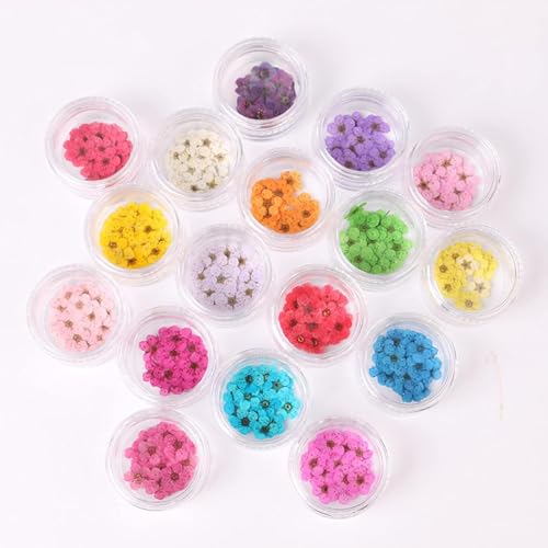 100 piezas flores prensadas secas para arte de uñas DIY miniatura 3