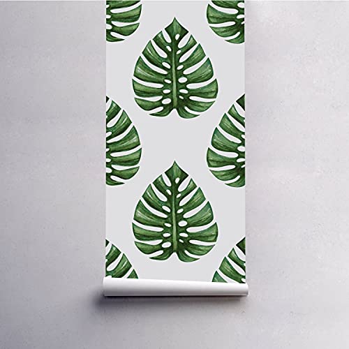 Magic-Stick Monstera 250x250 cm Papier Peint Repositionnable - 5