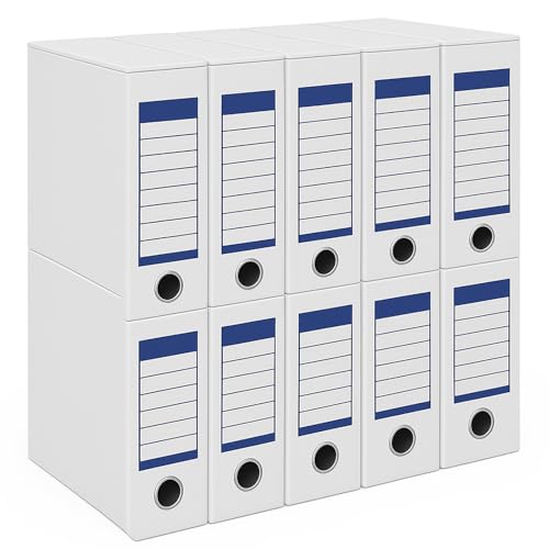 TIENDA EURASIA Caja de Archivo Definitivo, Pack de 10 Uds, para D...