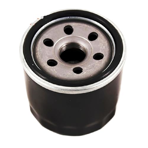 Filtre à huile pour CF188 500cc ATV UTV 0180-011300-0B00