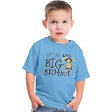 Nursery Decals and More Family Matching Outfits, Little Brother Big Brother Sibling Shirts, Monkey Owl Big Sister, Little Sister, Tshirts