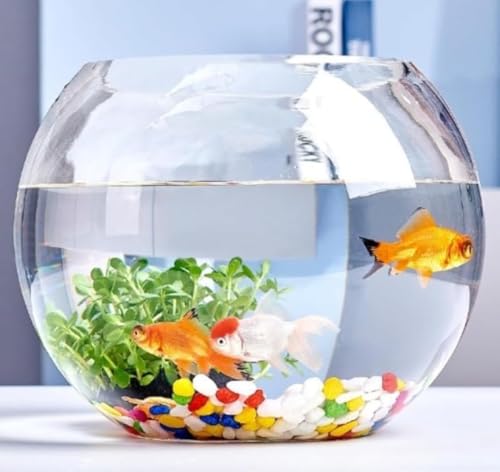 AOBOPO KX̊ی^ ^ƂăItBX̃fXN⃊rO̒Iɔzu\ ⏬^J̎ɓK KX̓œ̗lqڗR ԂɐCY鑕ʂ pƊϏܐ˔^e