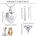 VEOIRXU Urne Kette für Asche, Anhänger Pfoten Abdruck Haustier, Herz Urne Halskette, Memorial Andenken Urne Schmuck mit Trichter-Kit für Haustier/Hunde/Katze Asche(Silber)