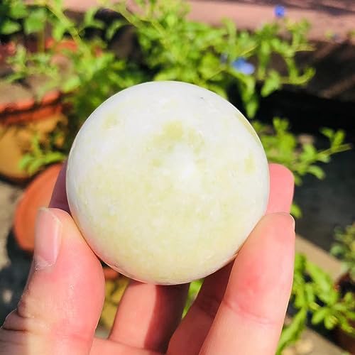 VRCG[WXp[ NH[c NX^{[  q[OXg[ WFXg[ 50mm+ؐX^h 1