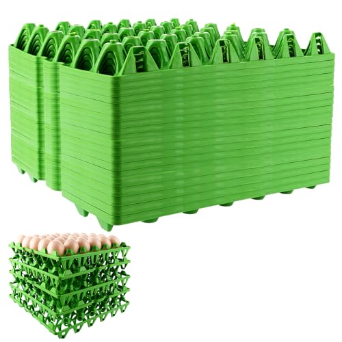 CYEER Lot de 20 Plateaux à Œufs en Plastique Vert, Alvéoles pour 30 Œufs Empilables, Casier Lavable pour Élevage de Poules, Transport et Vente sur Marché (Capacité 600 Œufs)
