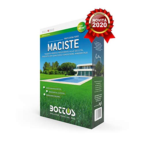 Maciste - Sementi per tappeto erboso - Ideale per zone aride - 1 Kg