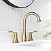 PARLOS Brushed Gold Widespread Double Handles Bathroom Faucet with Pop Up Drain and cUPC Faucet Supply Lines, Demeter 1365108