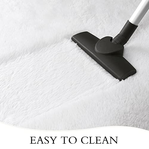 Chicrug Soft Area Rugs for Bedroom Living Room Plush Fluffy Rug 5x8 Feet, Shag Furry Area Rug Carpet Non Shedding for Nursery Children Kids Girls Room Home Decorative, Cream