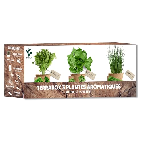 NOPALIA® Kit de hierbas aromáticas y aromatizantes, mini huerto para interior y exterior, semillas orgánicas (albahaca, perejil, cebollino) – Idea de regalo de Navidad, cocina – Producto ecológico