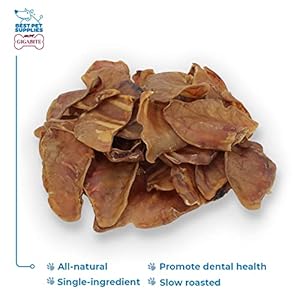 Best Pet Supplies Gigabite Roasted Pig Ears for Dogs Natural and Healthy Chews Treats in Whole Slices or Sticks Safe for Puppies and Aggressive Chewers Clean Teeth and Gums  Pack of 30  Cucciolini Doodles Best pet supplies gigabite roasted pig ears for dogs natural and healthy chews treats in whole slices or sticks safe for puppies and aggressive chewers clean teeth and gums  pack of 30   cucciolini doodles