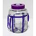 Produktbild Browin Multifunktions Gärballon Universelles Glas mit Gärsystem Gärbehälter Glasballon Größe zur Wahl (5 L)
