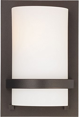 Minka Lavery 342-172 Glass Wall Sconce Lighting Damp Bath Vanity Fixture, 1-Light 100 Watt, 10