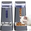 Automatic Cat Feeder and Cat Water Dispenser Set with Stainless Steel Bowls Gravity Dog Feeder for Small Medium Big Dog Pets Puppy Kitten, 3.8Lx 2