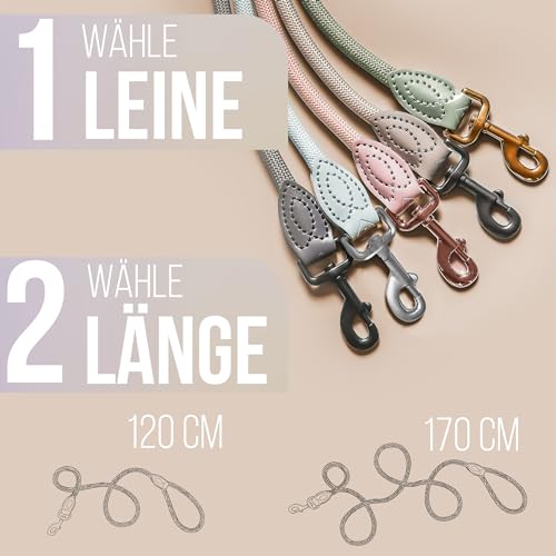 Personalisierte Hundeleine 1,2 m oder 1,7 m Länge (leicht dehnbar) extrem hochwertig verarbeitet | Tauleine für Hunde | Führleine mit Namen (Taupe, 120 cm)