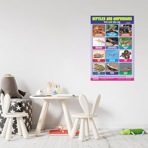 Image of ESCAPER Reptiles Educational Charts for Kids Learning (11.5 x 17.5 Inches), Study Material, Learning Books, Posters