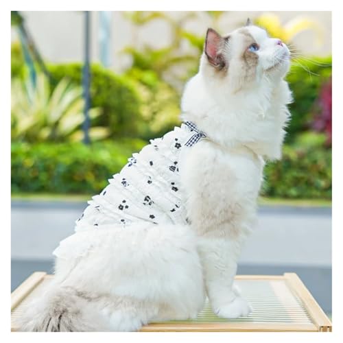 Robe de luxe en dentelle pour chien chic - Vêtement princesse caniche