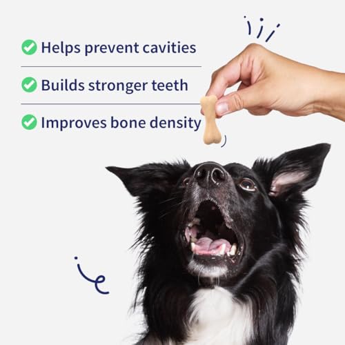 Image of Calcium Chew Bones - Milk-Flavored Dog Treats, 200 gm | Strengthens Teeth & Bones | Tasty & Nutritious Chews for All Breeds | Grain-Free, No Artificial Flavors