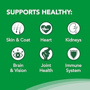 Nutramax welactin omega 3 fish oil skin and coat health supplement liquid for dogs  16 ounce   cucciolini doodles