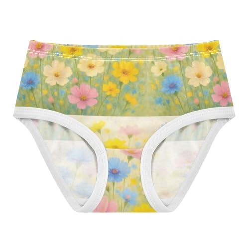 Joisal Colorful Wildflowers Pastel Panties for Girl Toddler Underwear Floral Cotton Cartoon Briefs Kids Undies 2t