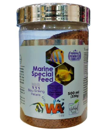 Premier Plants Marine Special Feed Pellets Slow Sinking Food for Fishes 500Ml (220Grams) (B0BVHV7GMQ) Amazon Price History, Amazon Price Tracker