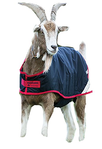 Image of Horseware Goat Coat - Navy, X-Small