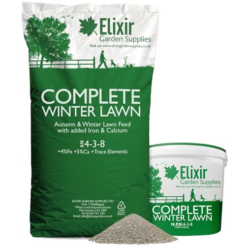 Winter Lawn Care Maintenance