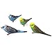 Honbay 4PCS Cute Mini Artificial Parakeet Bird Figurines Miniature Ornaments for Fairy Garden, Cake Decorations and More