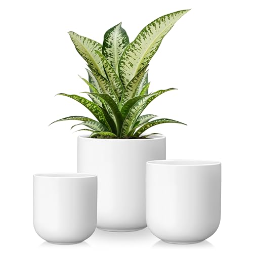 vancasso Ceramic Plant Pots, 4+5+6 inches, Set of 3, Planters with Drainage Hole, Flower Pots Planters Pots for Indoor Plants, Modern Indoor Decorative Garden Pot, Home Decor, White by vancasso - Used condition - US$24.42