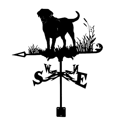 Wetterfahnen Wetterfahne Messwerkzeuge Wetterhahn Windrichtungsanzeiger Edelstahl für Gärten im Freien Häuser Terrasse Rasen (Farbe: Husky)