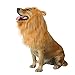 royalwise Lion Mane Costumes Dog Wig Lion Hair for Large Dogs Soft Touch Comfortable Fancy Hair Pet Apparel Cosplay