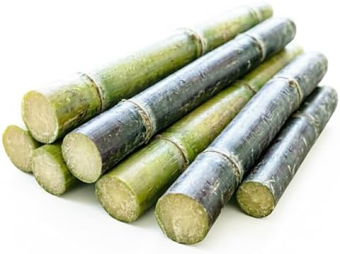 Fresh Sugar Cane Sugarcane Saccharum Officinarum (5lb)