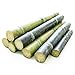 Fresh Sugar Cane (5lb)