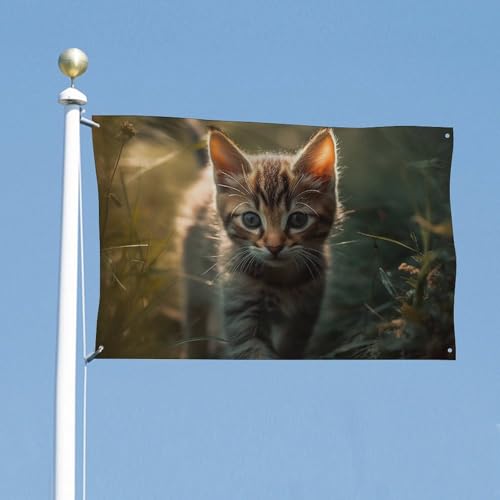 Bannière chaton résistant aux intempéries pour décoration dortoir