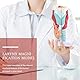 iplusmile Menschlichen Kehlkopf Modell Nasen Mundhöhle Kehle Nasopharynx Laryngopharyngeal Rachen Kehlkopf Anatomisches Modell Wissenschaft Medicalstudents Lehrmittel