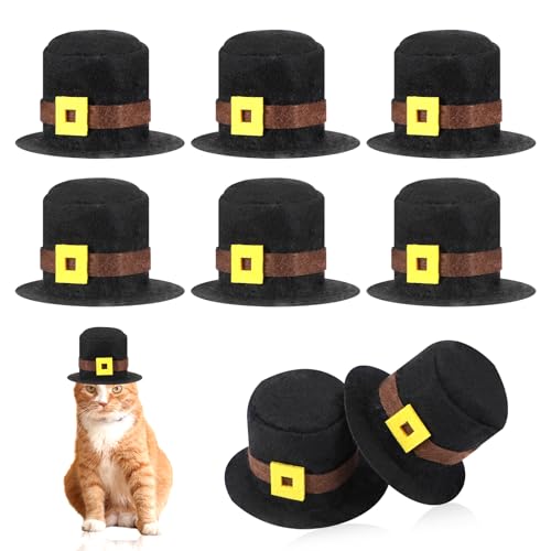 Mini chapeaux de pèlerin en feutre pour décoration bouteille et loisirs