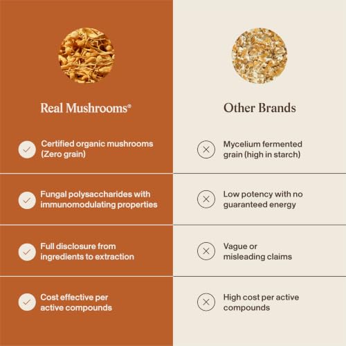 Image of Real Mushroom Cordyceps Mushroom Powder - Cordyceps Mushroom Energy and Performance - Organic Cordyceps Powder with Beta-Glucans, Vegan Supplement, Non-GMO, 150 Servings