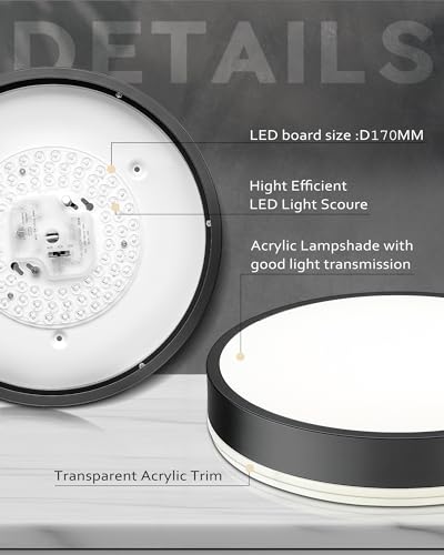 Image of Ken & Ricky 12 inch Modern Flush Mount Ceiling Light,Black,1 Pack