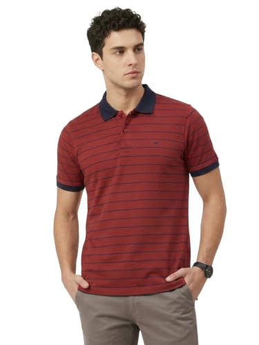 Image of Park Avenue Men Slim Fit Stripe Pattern Pure Cotton Polo Neck Half Sleeve Casual T-Shirt