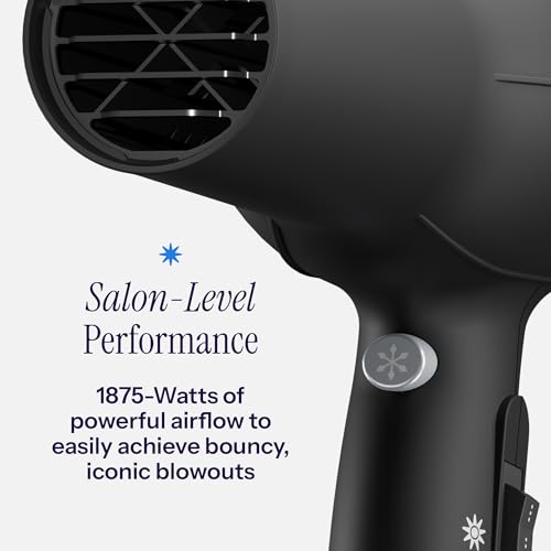 Hot Tools Pro Artist Turbo Ionic Dryer