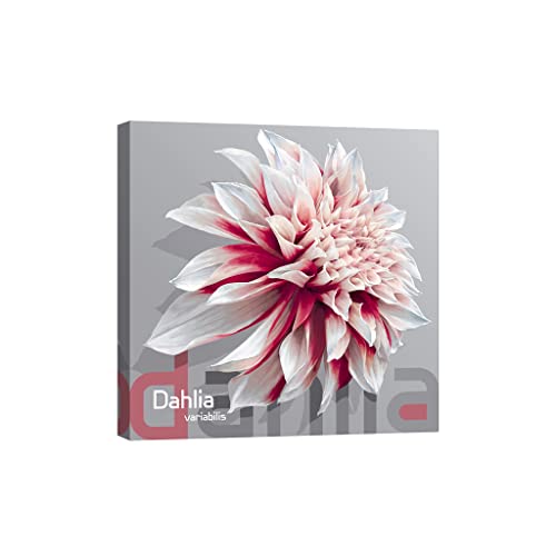 Toile fleurs lumineuse DCF057-1 pour éclairer les nuits sombres