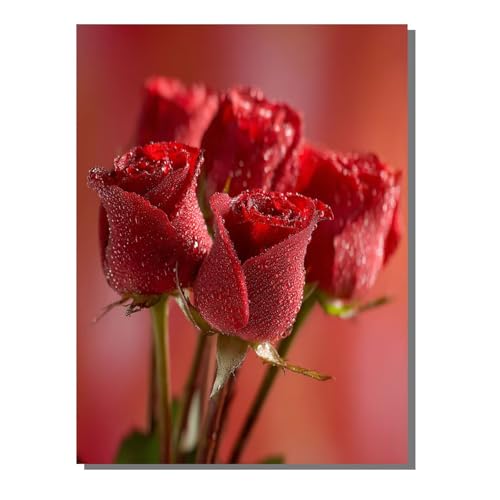 G  hG (t[t) l̎q̂߂̃Mtg ŃyCg SҌ LbgŃyCg fW^G KN 40x55 cm uVƃANG̋Ă܂ DIY Paint by Numbers rO[ CeA