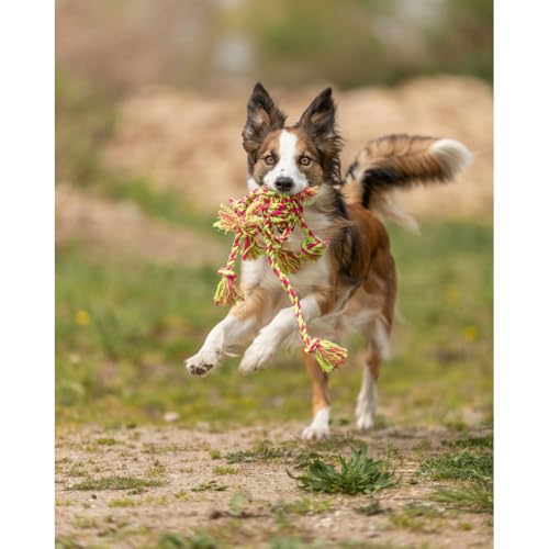 Trixie Denta Fun Seil-Spielzeug mit eingeflochtenem Ball für Hunde, 44 x 7 cm (farblich sortiert)