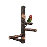 POTATO オウム パーチ 5本セット 鳥用止まり木 爪とぎパーチ 爪を磨く 自然木 インコ ケージアクセサリー 木製ステージ スタンド くちばし 小鳥用 噛むおもちゃケージアクセサリー インコ ペット用品 ケージ用 鳥用パーチ 文鳥 鳥栖 小鳥立ち場 天然木 簡単にケージに設置 取付け簡単