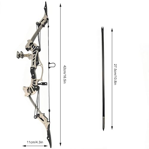 Compound Bow and Arrow Set, Right/Left Handed for Target Shooting Hunting Games Archery Bow Set Gift (Type-B 16.5'')