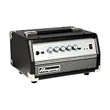 Ampeg MICRO VR...image