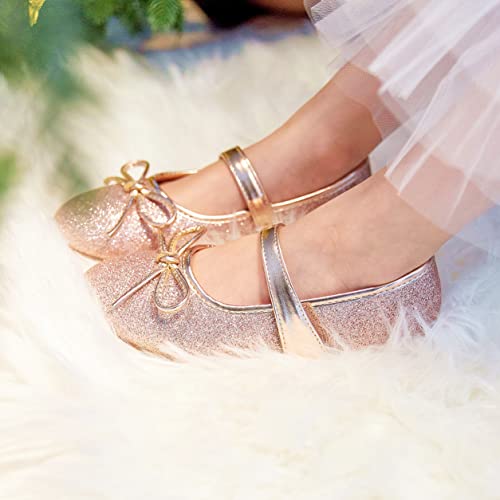 Thee Bron Toddler/Little Girl Rose Glitter Mary Jane Flats Princess Dress Shoes(G03,Rose/7M) #TOP2